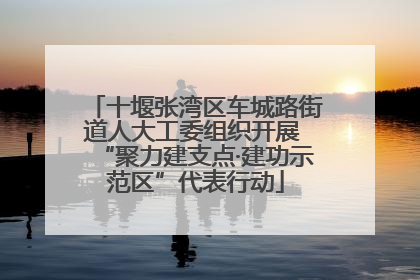 十堰张湾区车城路街道人大工委组织开展 “聚力建支点·建功示范区”代表行动