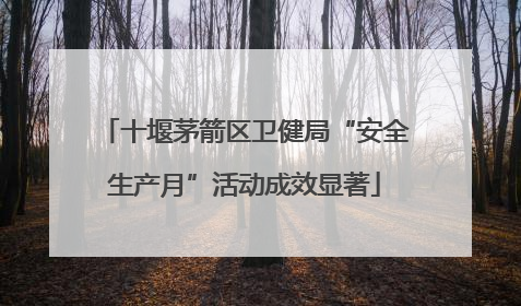 十堰茅箭区卫健局“安全生产月”活动成效显著