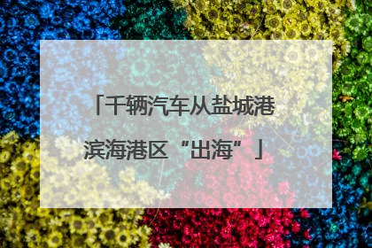 千辆汽车从盐城港滨海港区“出海”
