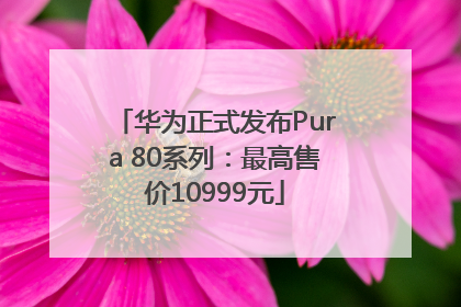 华为正式发布Pura 80系列：最高售价10999元