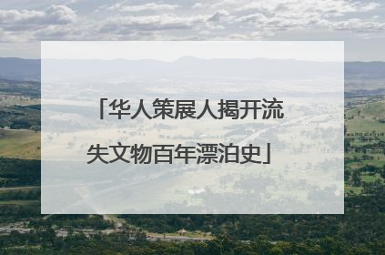华人策展人揭开流失文物百年漂泊史