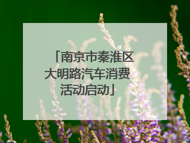 南京市秦淮区大明路汽车消费活动启动