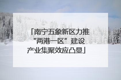 南宁五象新区力推“两港一区”建设 产业集聚效应凸显
