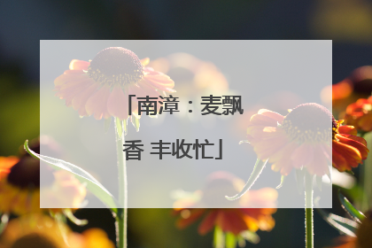 南漳：麦飘香 丰收忙