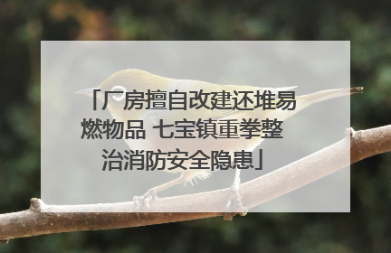 厂房擅自改建还堆易燃物品 七宝镇重拳整治消防安全隐患