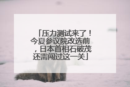 压力测试来了！今夏参议院改选前，日本首相石破茂还需闯过这一关