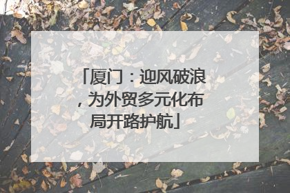 厦门：迎风破浪，为外贸多元化布局开路护航