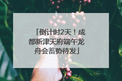 倒计时2天！成都新津天府端午龙舟会蓄势待发