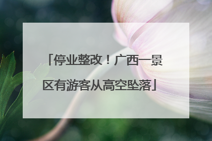 停业整改！广西一景区有游客从高空坠落