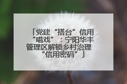 党建“搭台”信用“唱戏”：宁阳华丰管理区解锁乡村治理“信用密码”