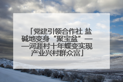 党建引领合作社 盐碱地变身“聚宝盆”——河涯村十年蝶变实现产业兴村群众富