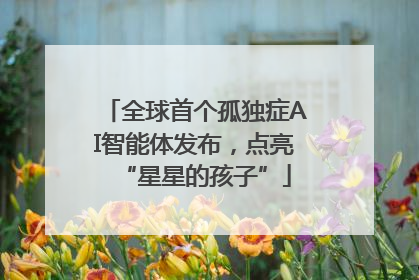 全球首个孤独症AI智能体发布，点亮“星星的孩子”