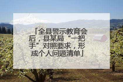 全县警示教育会后，县某局“一把手”对照要求，形成个人问题清单