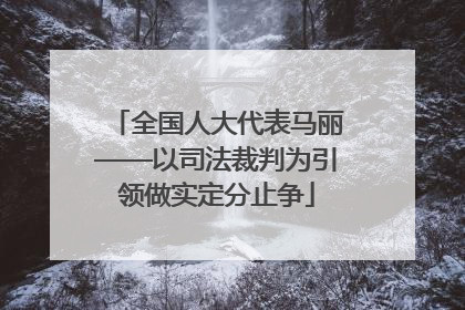 全国人大代表马丽——以司法裁判为引领做实定分止争