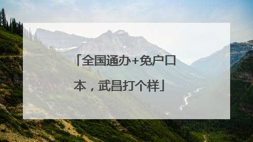 全国通办+免户口本，武昌打个样