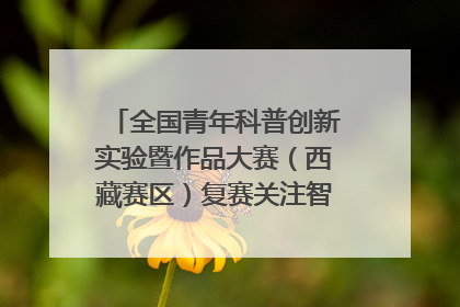 全国青年科普创新实验暨作品大赛（西藏赛区）复赛关注智慧环保等主题