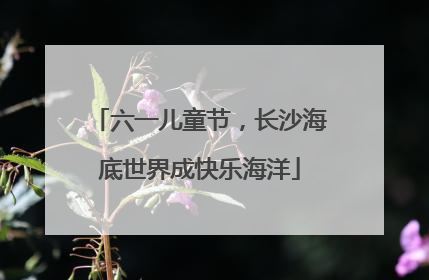 六一儿童节，长沙海底世界成快乐海洋