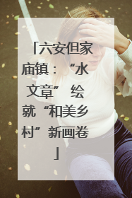 六安但家庙镇：“水文章” 绘就“和美乡村”新画卷