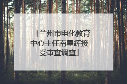 兰州市电化教育中心主任南星辉接受审查调查