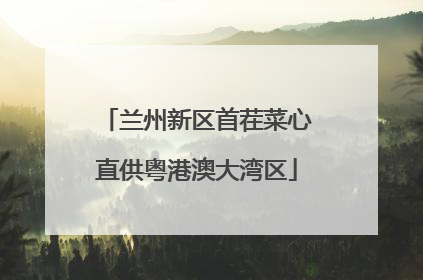 兰州新区首茬菜心直供粤港澳大湾区