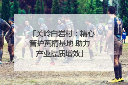 关岭白岩村：精心管护黄精基地 助力产业提质增效