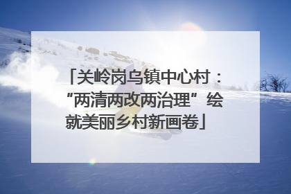 关岭岗乌镇中心村：“两清两改两治理”绘就美丽乡村新画卷