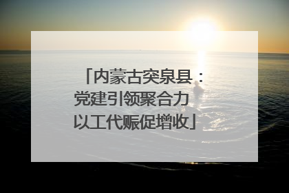 内蒙古突泉县：党建引领聚合力 以工代赈促增收