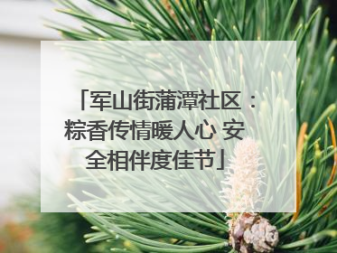 军山街蒲潭社区：粽香传情暖人心 安全相伴度佳节