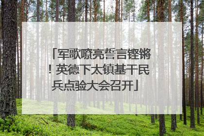 军歌嘹亮誓言铿锵！英德下太镇基干民兵点验大会召开