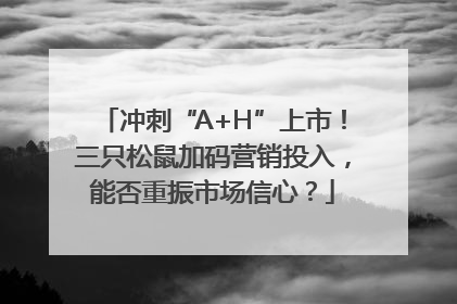 冲刺“A+H”上市！三只松鼠加码营销投入，能否重振市场信心？