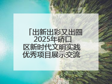 出新出彩又出圈 2025年硚口区新时代文明实践优秀项目展示交流活动举行
