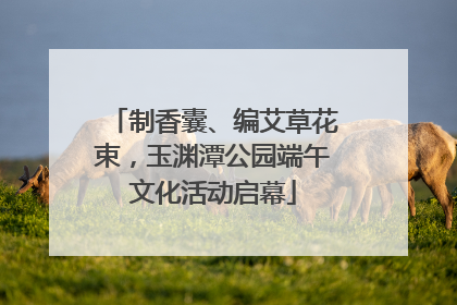 制香囊、编艾草花束，玉渊潭公园端午文化活动启幕