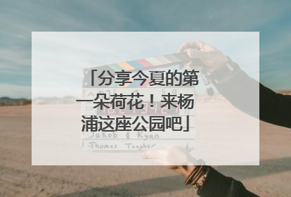 分享今夏的第一朵荷花！来杨浦这座公园吧