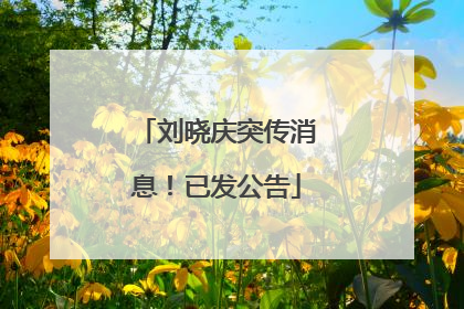 刘晓庆突传消息！已发公告