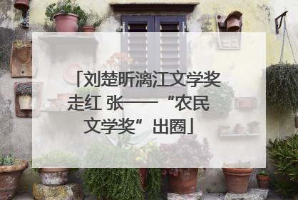 刘楚昕漓江文学奖走红 张一一“农民文学奖”出圈
