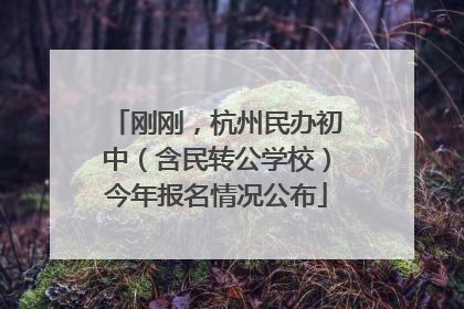 刚刚，杭州民办初中（含民转公学校）今年报名情况公布