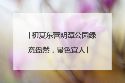 初夏东营明潭公园绿意盎然，景色宜人