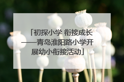 初探小学 衔接成长——青岛淮阳路小学开展幼小衔接活动