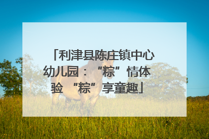 利津县陈庄镇中心幼儿园：“粽”情体验 “粽”享童趣