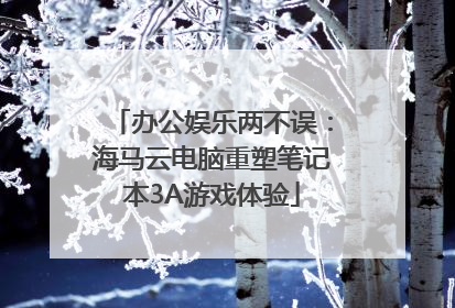 办公娱乐两不误：海马云电脑重塑笔记本3A游戏体验