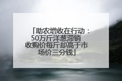 助农增收在行动：50万斤洋葱滞销 收购价每斤却高于市场价三分钱