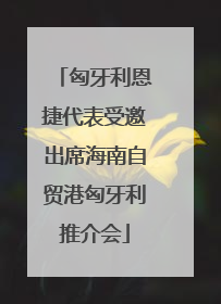 匈牙利恩捷代表受邀出席海南自贸港匈牙利推介会