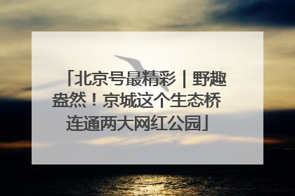 北京号最精彩｜野趣盎然！京城这个生态桥连通两大网红公园