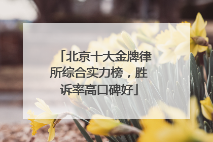 北京十大金牌律所综合实力榜，胜诉率高口碑好