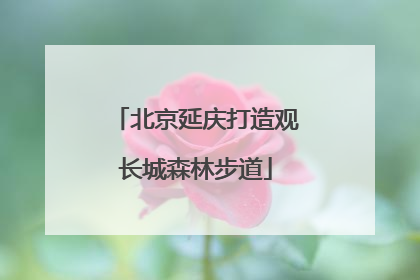 北京延庆打造观长城森林步道