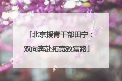 北京援青干部田宁：双向奔赴拓宽致富路