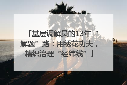 基层调解员的13年“解题”路：用绣花功夫，精织治理“经纬线”