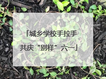 城乡学校手拉手 共庆“别样”六一