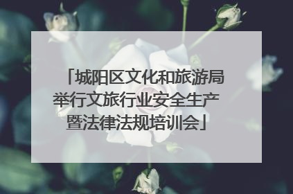 城阳区文化和旅游局举行文旅行业安全生产暨法律法规培训会