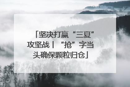 坚决打赢“三夏”攻坚战丨“抢”字当头确保颗粒归仓
